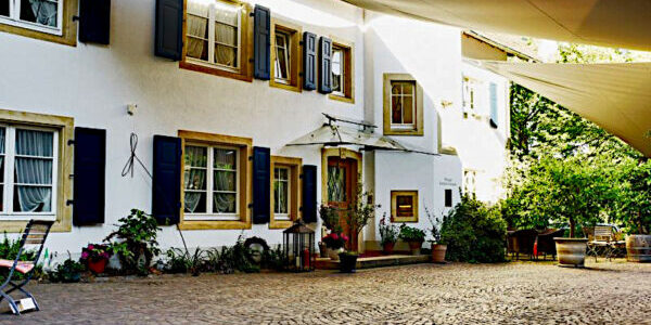 bento_weingut_laemmlin-schindler_800x450