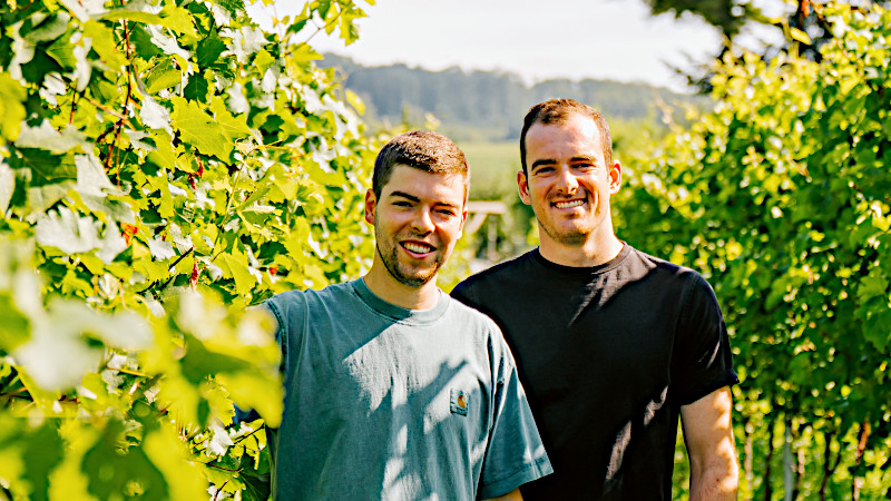 bento_shop_weingut-laemmlin-schindler_800x450