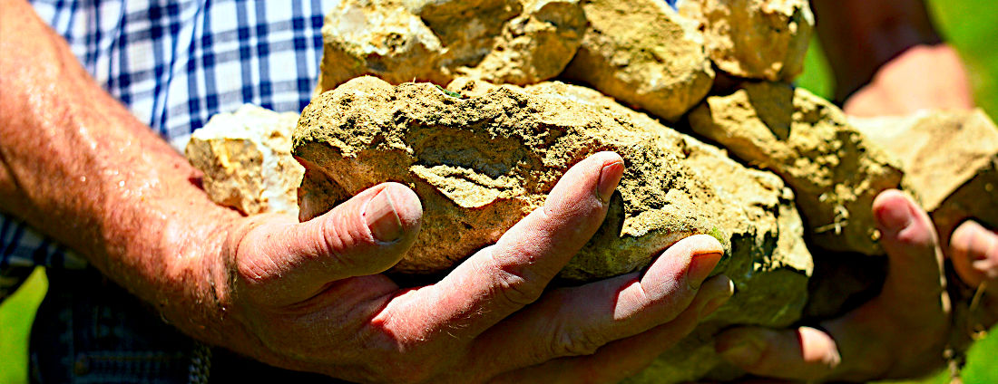 bild_terroire-den-boden-im-wein-schmecken_weingut-laemmlin-schindler_1100x424