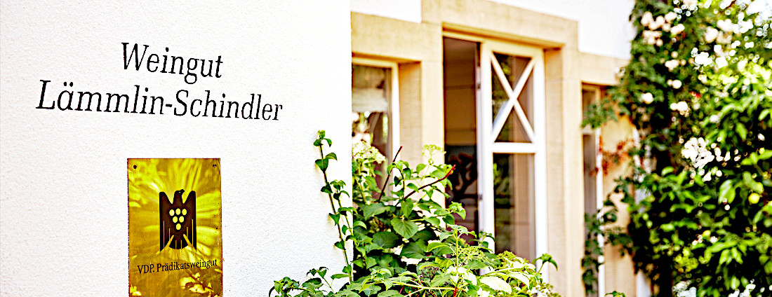bild_vdp-im-zeichen-des-traubenadlers_weingut-laemmlin-schindler_1100x424